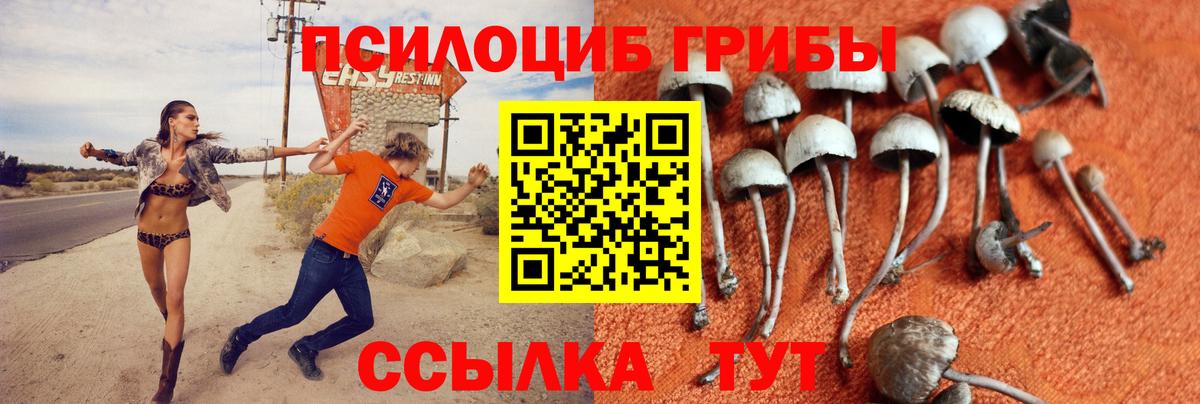 Галлюциногенные грибы мухоморы Кашира