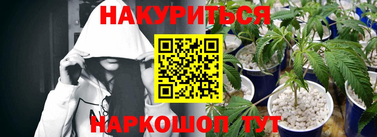 Каннабис семена  Вход с VPN  Канабис тримм  Бошки Шишки марихуана  Марихуана семена  Кашира 